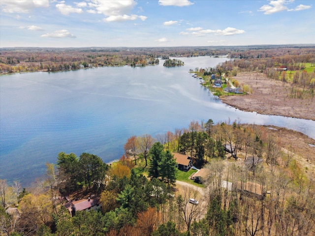 10458 Sleepy Hollow Ln, Mecosta, MI 49332 - aerial view of a nearby body of water