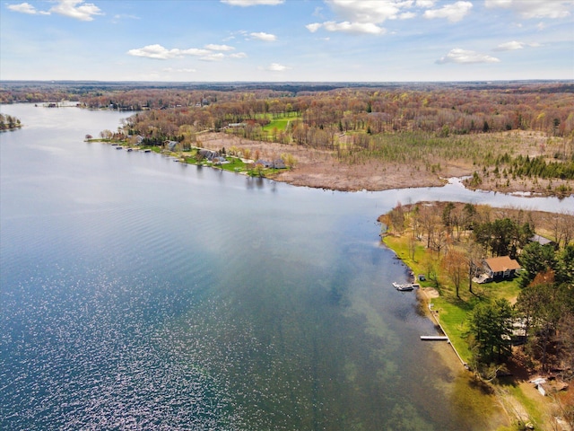 10458 Sleepy Hollow Ln, Mecosta, MI 49332 - bird's eye view of a nearby body of water and a heavily wooded area