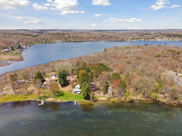 10458 Sleepy Hollow Ln, Mecosta, MI 49332 - aerial view of property's location with a forest and a large body of water