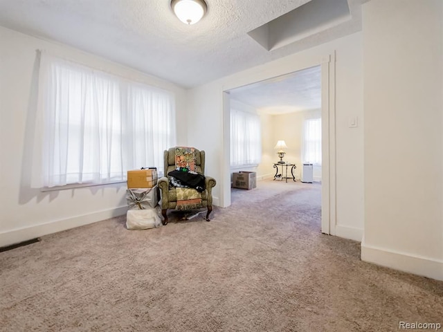 19916 Salem St, Detroit, MI 48219 - sitting room featuring carpet, a textured ceiling, and baseboards