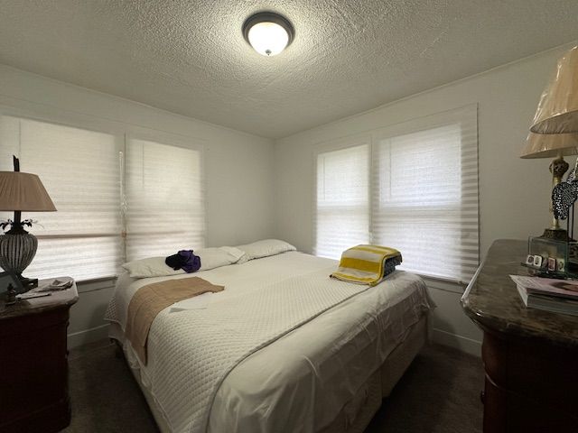 19916 Salem St, Detroit, MI 48219 - bedroom with multiple windows and a textured ceiling