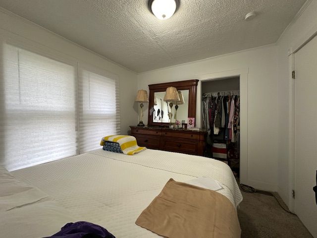 19916 Salem St, Detroit, MI 48219 - bedroom featuring a textured ceiling, carpet, and a closet