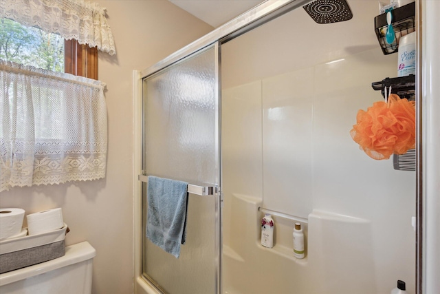 11104 Southbrook Dr, Ceresco, MI 49033 - bathroom featuring toilet and a shower with shower door