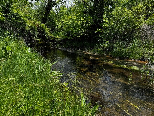 11104 Southbrook Dr, Ceresco, MI 49033 - water view