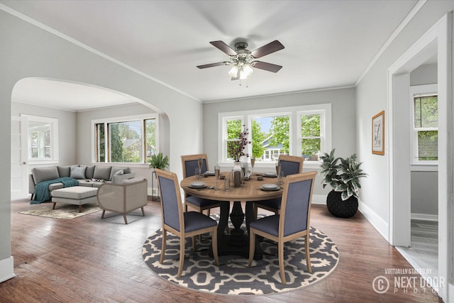 dining room with arched walkways, ceiling fan, crown molding, and wood finished floors