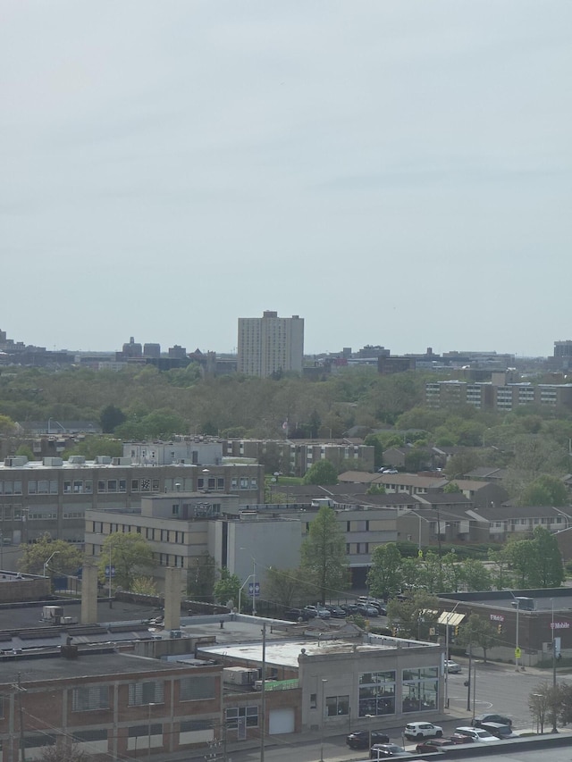3320 Spinnaker Ln Unit 15E, Detroit, MI 48207 - view of city