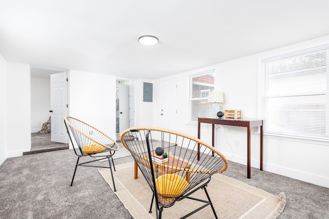 21430 Ridgedale St, Oak Park, MI 48237 - sitting room with carpet flooring and baseboards
