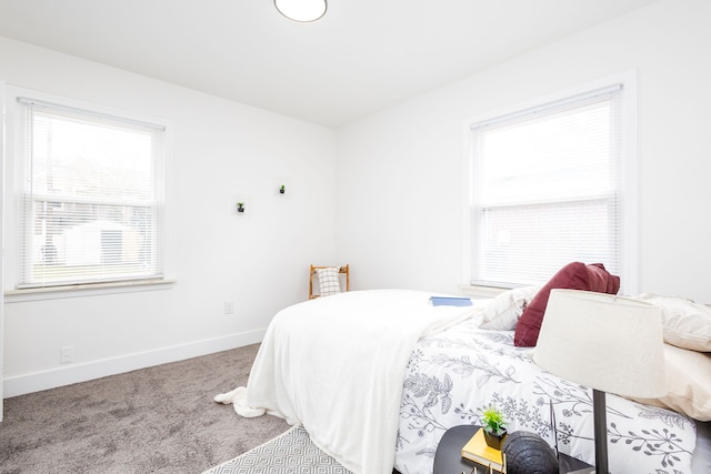 21430 Ridgedale St, Oak Park, MI 48237 - bedroom with carpet, multiple windows, and baseboards