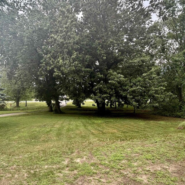 6215 S Graham Rd, Saint Charles, MI 48655 - photo 22