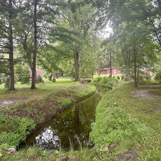 6215 S Graham Rd, Saint Charles, MI 48655 - photo 24