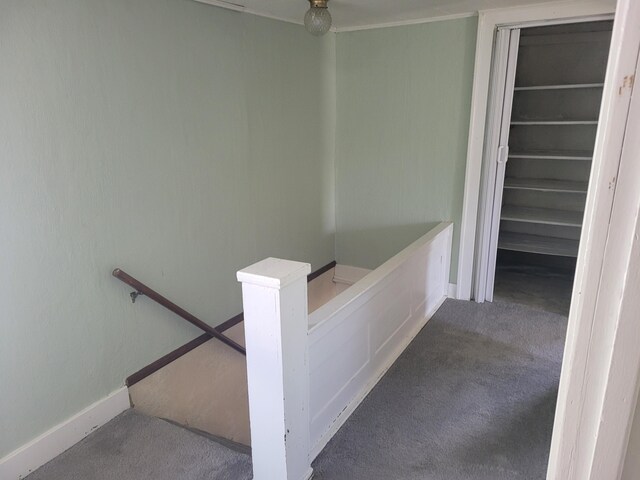stairway featuring carpet floors and baseboards