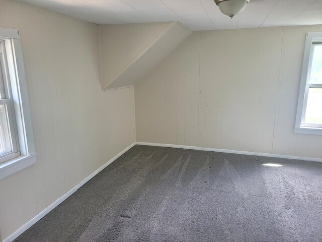 additional living space featuring carpet floors, healthy amount of natural light, and baseboards