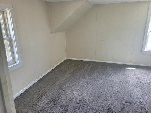additional living space with carpet floors, healthy amount of natural light, and baseboards