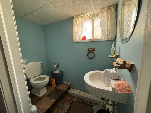 bathroom with toilet and a paneled ceiling