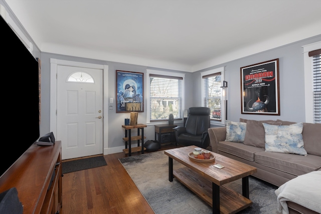 living room featuring wood finished floors, healthy amount of natural light, and baseboards
