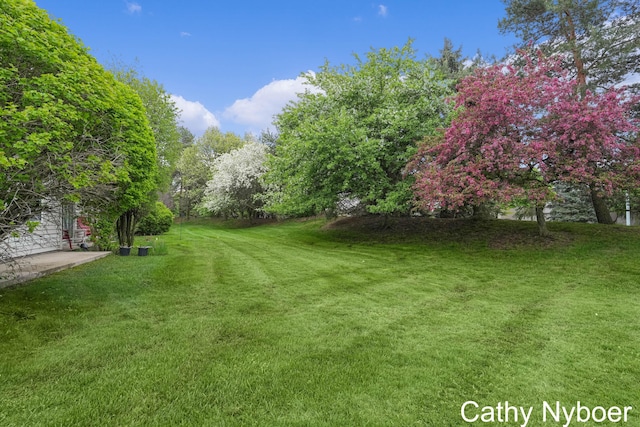 view of green lawn