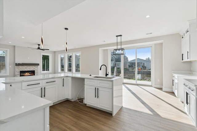 45518 Jefferson Ave, Chesterfield, MI 48047 - kitchen with a sink, wood finished floors, plenty of natural light, a glass covered fireplace, and recessed lighting