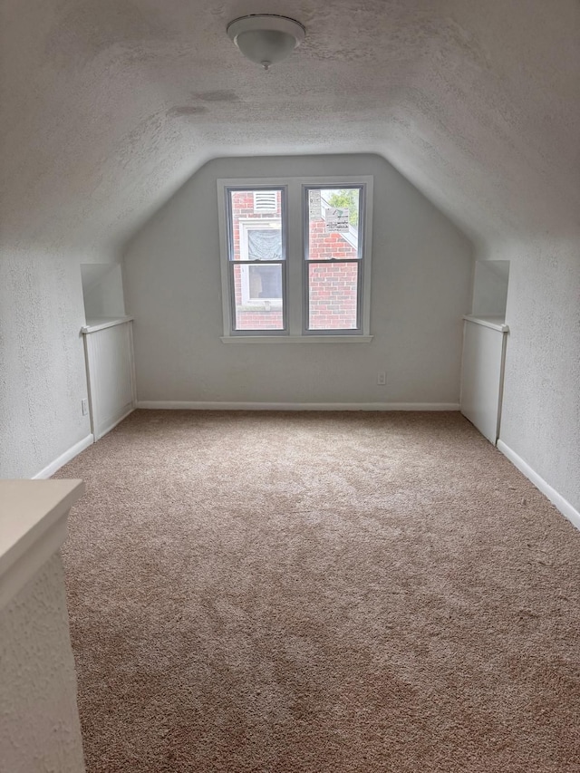 9340 Mansfield St, Detroit, MI 48228 - additional living space with a textured ceiling, vaulted ceiling, carpet flooring, a textured wall, and baseboards