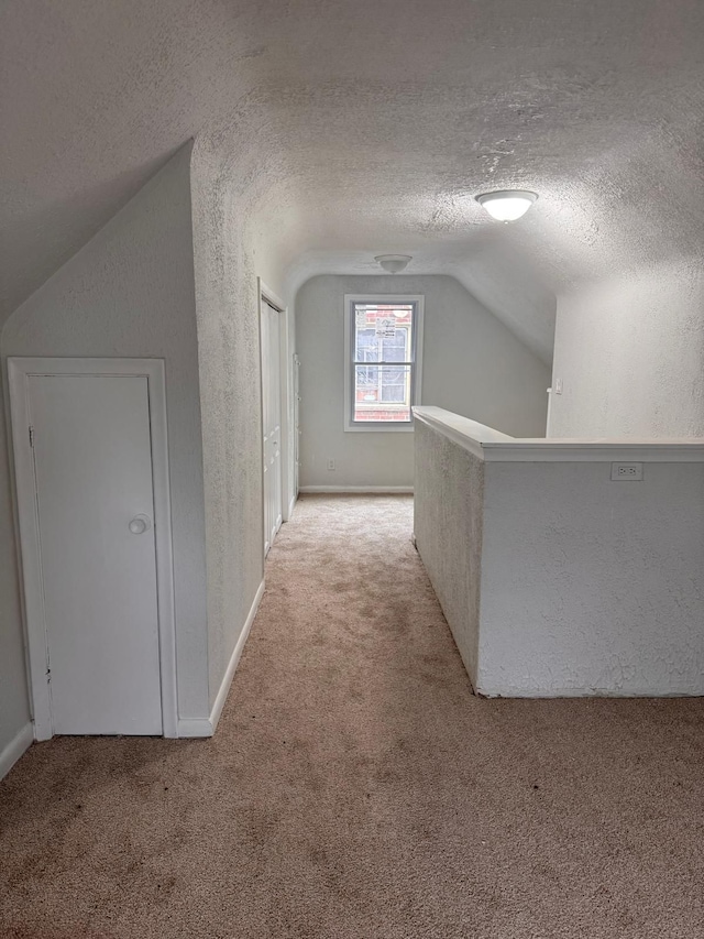 9340 Mansfield St, Detroit, MI 48228 - bonus room featuring vaulted ceiling, light carpet, a textured ceiling, and a textured wall