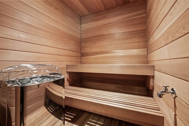 230 Corrie Rd, Ann Arbor, MI 48105 - sauna / steam room with wooden walls