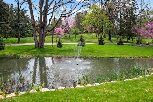 230 Corrie Rd, Ann Arbor, MI 48105 - water view