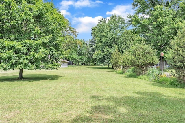 1273 Little John Lake Rd, Allegan, MI 49010 - view of green lawn