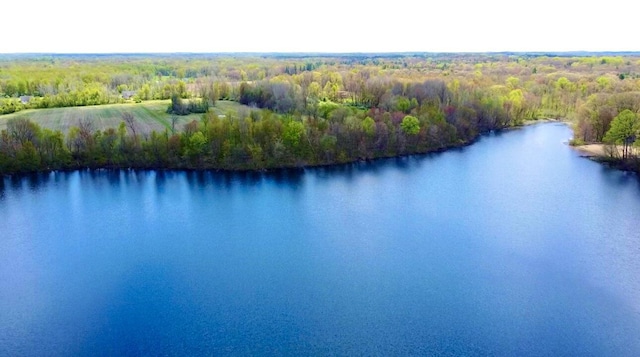 1273 Little John Lake Rd, Allegan, MI 49010 - aerial view of a nearby body of water and a forest