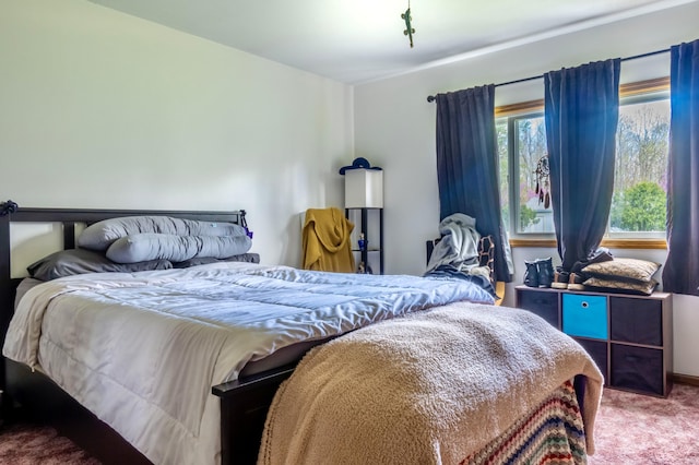 1273 Little John Lake Rd, Allegan, MI 49010 - view of carpeted bedroom