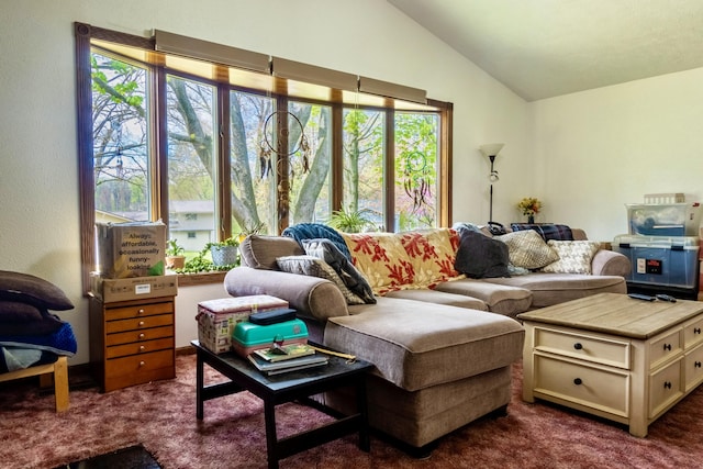 1273 Little John Lake Rd, Allegan, MI 49010 - living room featuring dark carpet, vaulted ceiling, and healthy amount of natural light