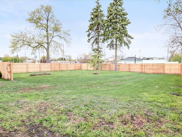 1308 10th St, Port Huron, MI 48060 - view of yard