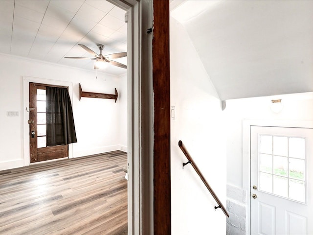 1308 10th St, Port Huron, MI 48060 - doorway featuring ceiling fan, wood finished floors, baseboards, and crown molding