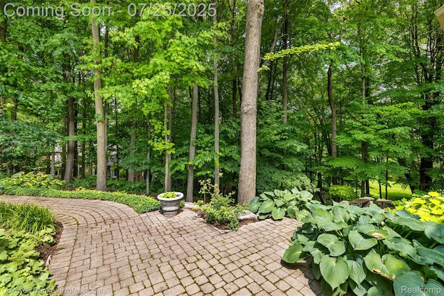 8661 Deerwood Rd, Clarkston, MI 48348 - photo 4