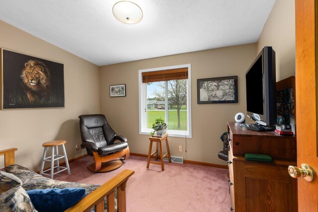 880 W Ave, Big Rapids, MI 49307 - bedroom with light carpet and baseboards