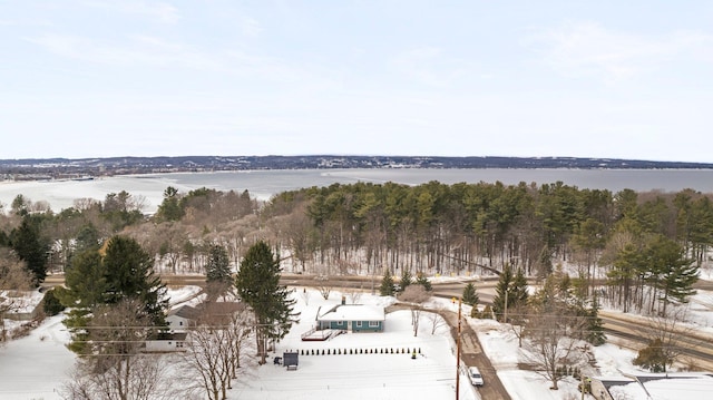 1330 N Orchard Dr, Traverse City, MI 49686 - view of snowy aerial view