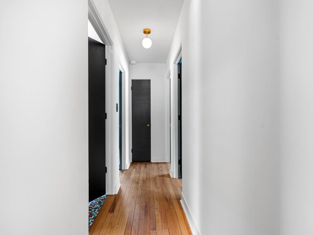 1330 N Orchard Dr, Traverse City, MI 49686 - hallway featuring light wood-type flooring and baseboards