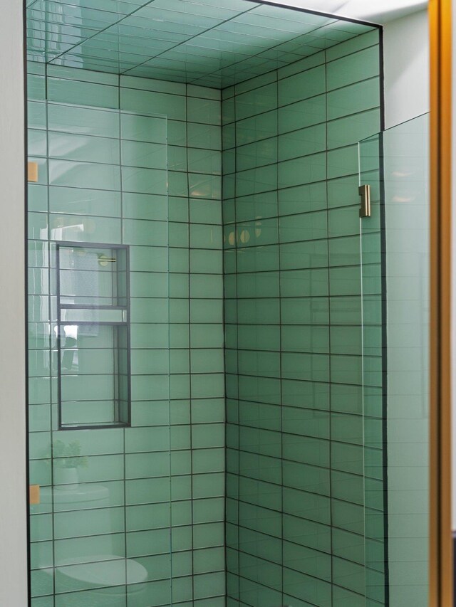 1330 N Orchard Dr, Traverse City, MI 49686 - detailed view of a shower stall and toilet