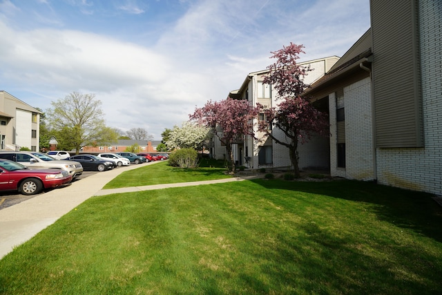 view of green lawn