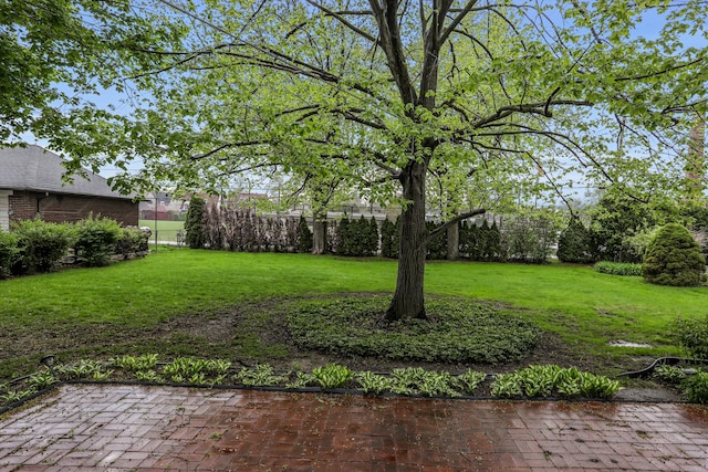 1133 Balfour St, Grosse Pointe Park, MI 48230 - view of green lawn