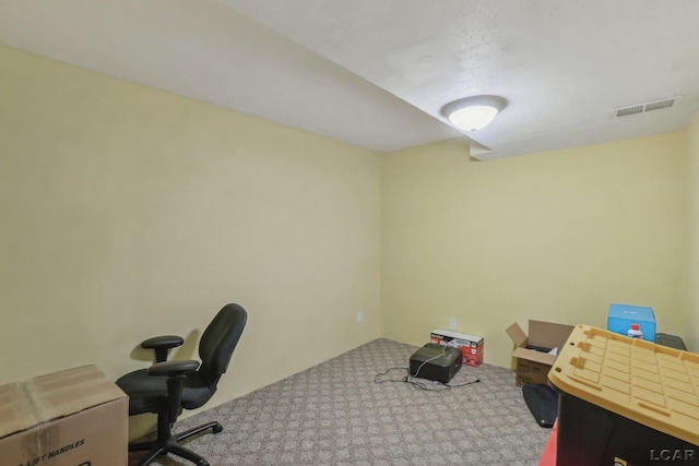 2924 E Valley Rd, Adrian, MI 49221 - view of carpeted home office