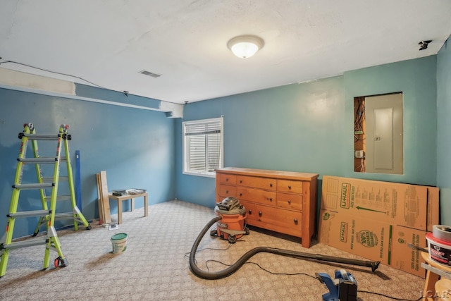 2924 E Valley Rd, Adrian, MI 49221 - recreation room featuring electric panel and carpet flooring