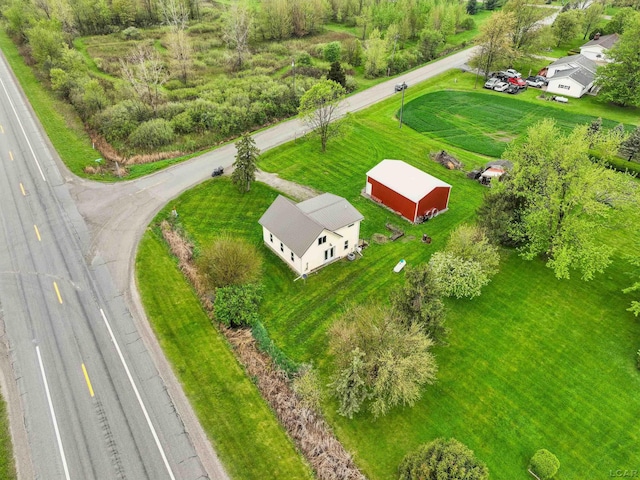 drone / aerial view