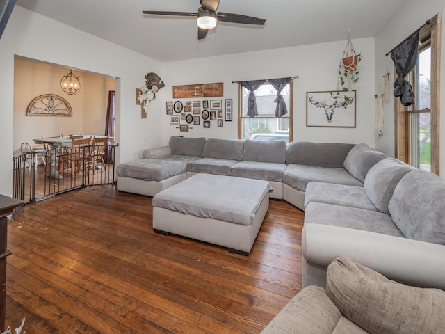 living room featuring a chandelier, ceiling fan, and wood-type flooring