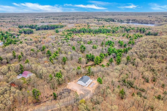 drone / aerial view of a forest