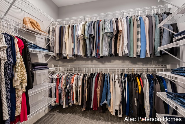 walk in closet featuring carpet