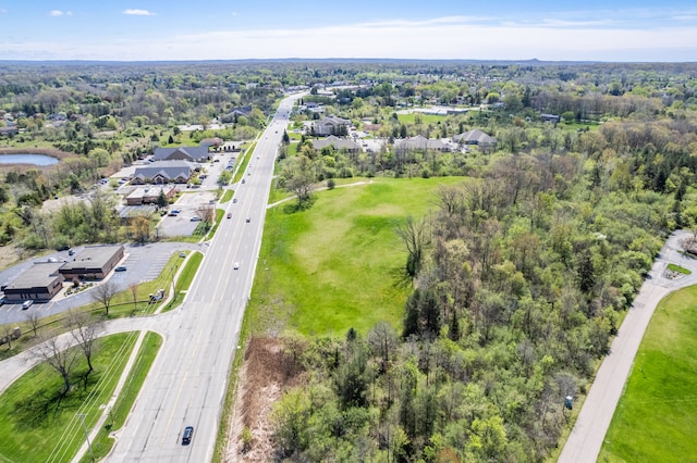 8152 S Saginaw St, Grand Blanc, MI 48439 - photo 4