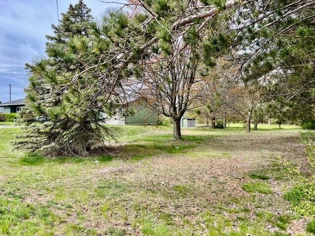 view of grassy yard