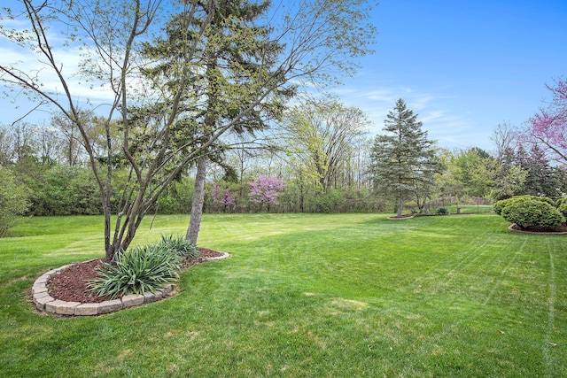 1204 Bradbury Dr, Troy, MI 48098 - view of green lawn
