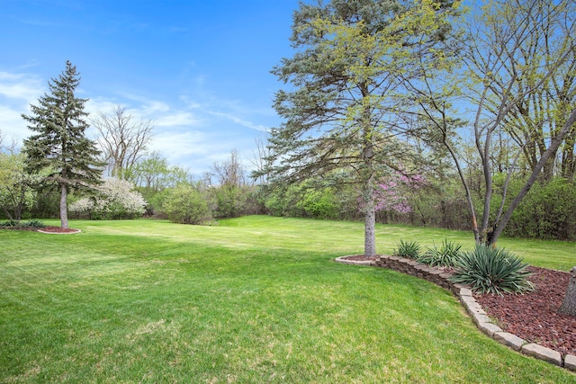 1204 Bradbury Dr, Troy, MI 48098 - view of green lawn