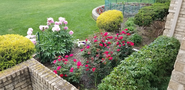 1204 Bradbury Dr, Troy, MI 48098 - view of grassy yard