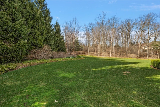 view of grassy yard